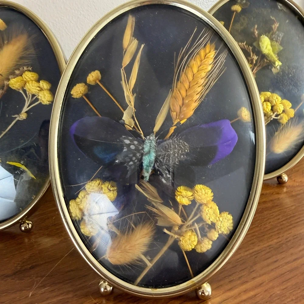 Vintage Oval Brass Shadow Box Set of 3 Dried Flowers Butterflies Cottagecore